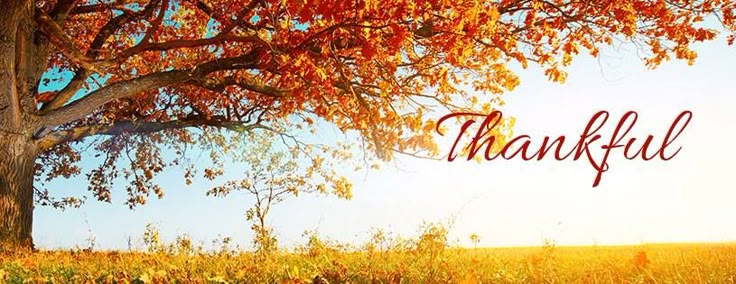 1b415733a7b0c8eb50f8d675c43dd487--holiday-messages-fb-profile.jpg