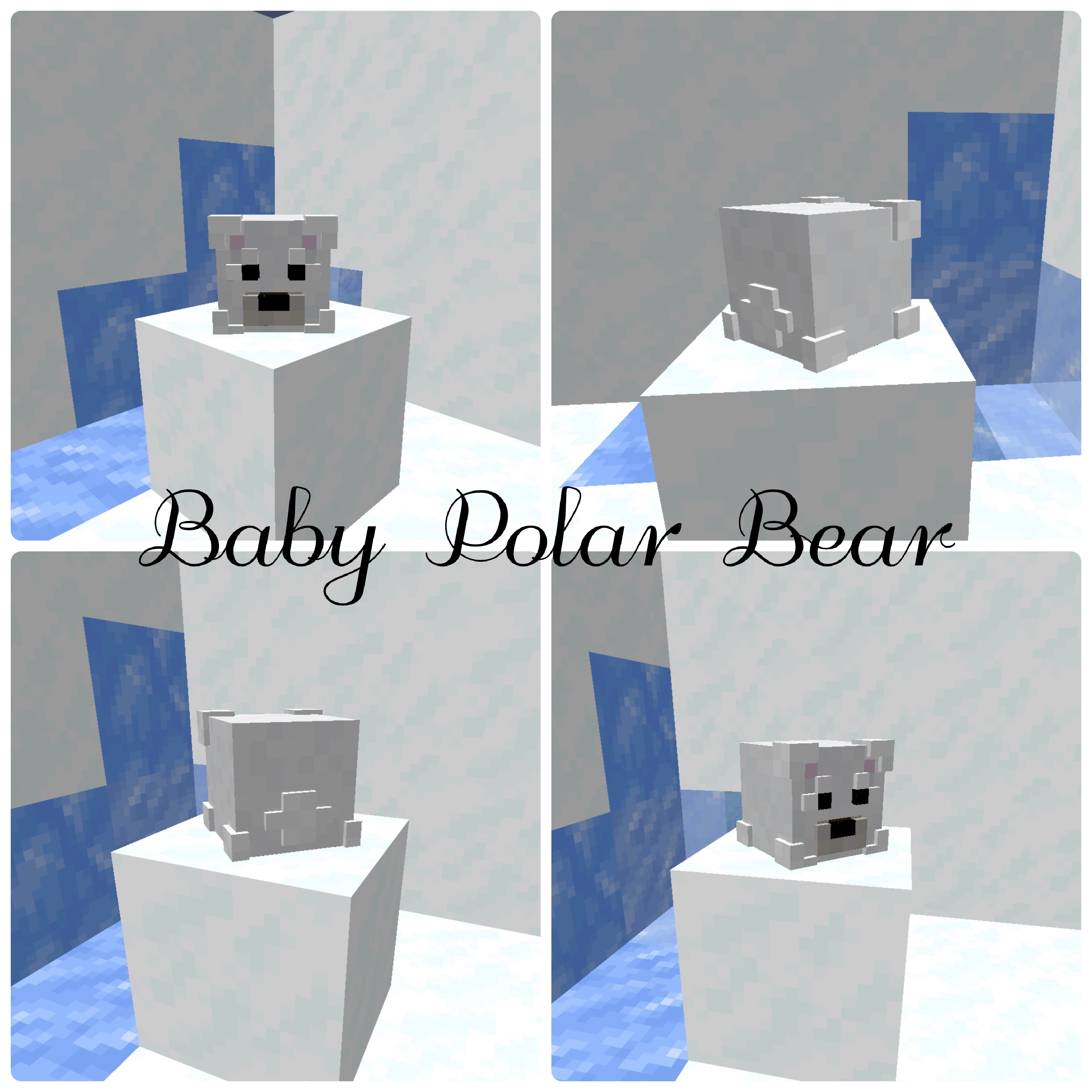 Baby Polar Bear.jpg