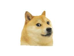 Doge.jpe