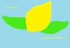 Lemon.png