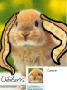 Cypsticle.png