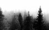 Indie-Wallpaper-Backgrounds-1920x1200.jpg