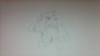 upload_2015-12-6_16-54-45.png