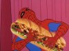 Spider Sandwich.jpg