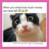 FB_IMG_1448198773250.jpg