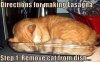 FB_IMG_1448220693221.jpg