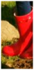 upload_2016-1-30_16-22-12.png