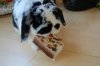 upload_2016-2-7_5-33-34.jpeg