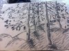 winter_forest_by_macsus-d3jmnr2.jpg