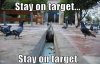 StayTarget.jpg