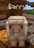 Barry.png