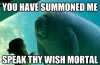 WalrusSummon.jpg