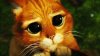 PussInnocent.jpg