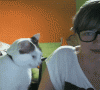 PawsAttention.gif