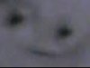 imgpsh_fullsize.jpeg