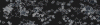 queen-1.gif