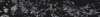 talia.gif