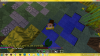 Cyp8.png