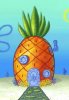 SPONGE.jpg