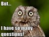 ManyQuestions.jpg