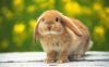 upload_2016-6-14_1-11-39.jpeg