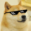 doge.png