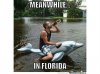 meanwhile-in-florida_o_667294.jpg
