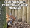 CallMeGoat.jpeg