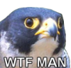 4579850-1383326262.png