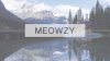 Meowzy.jpg