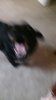 20160925_085649.jpg