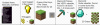 Values of items.PNG
