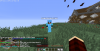 EnderDonaldTrump2.png