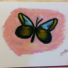 OilPastelDrawing_2016-9-17-00-38-16(1).png
