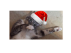 upload_2016-11-14_19-19-58.png