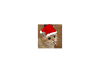 upload_2016-11-16_20-0-57.png