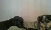 WIN_20161122_07_58_11_Pro.jpg