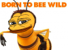 upload_2016-12-10_18-23-51.png