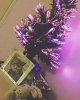 IMG_20161225_061409.jpg