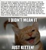 justkitten.jpg
