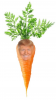 IMG_0822.PNG