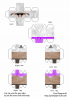 Noobcrew.png