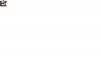 LOL.png