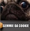 GimmieDaCookie.jpg
