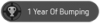 BumpYear.png