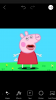 IMG_1244.PNG