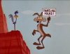 roadrunner.jpg
