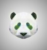 Panda2.jpg
