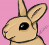 bunny 1.png