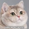 Googling Intensifies.jpg
